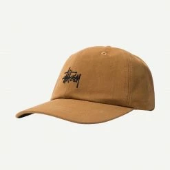Stussy Stock Canvas Low Pro Cap